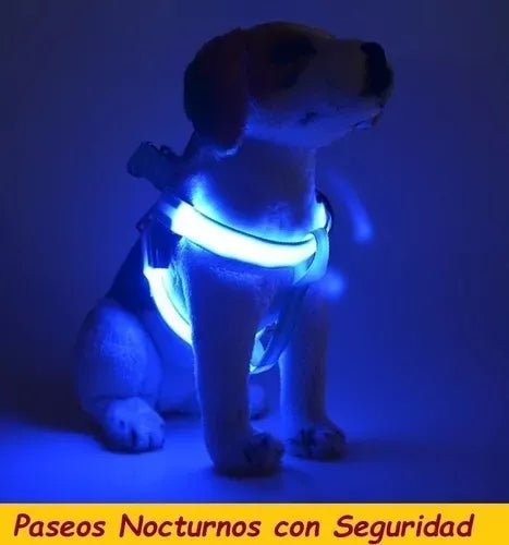 Collar Pechera Para Mascota Con Luz Led Varios Talle Colores - TECNO MAT
