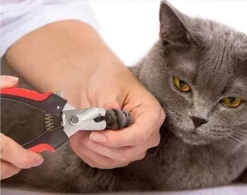 Corta Uñas Para Mascota Perro Gato Con Lima De Regalo - TECNO MAT